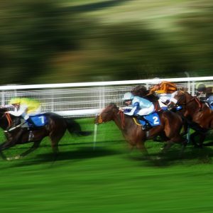 Today’s PREMIUM racecard (all tipster selections included)