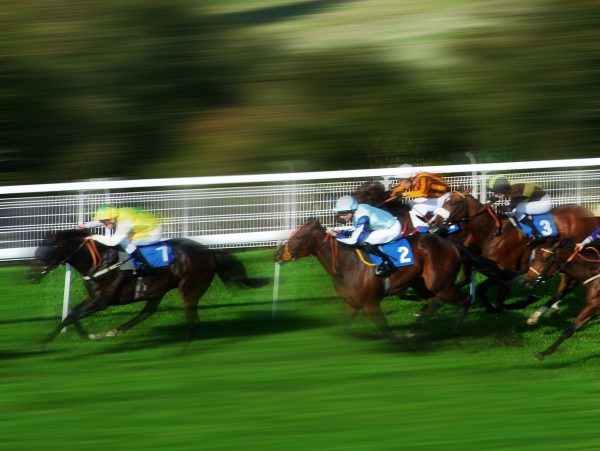 Today's PREMIUM racecard (all tipster selections included)